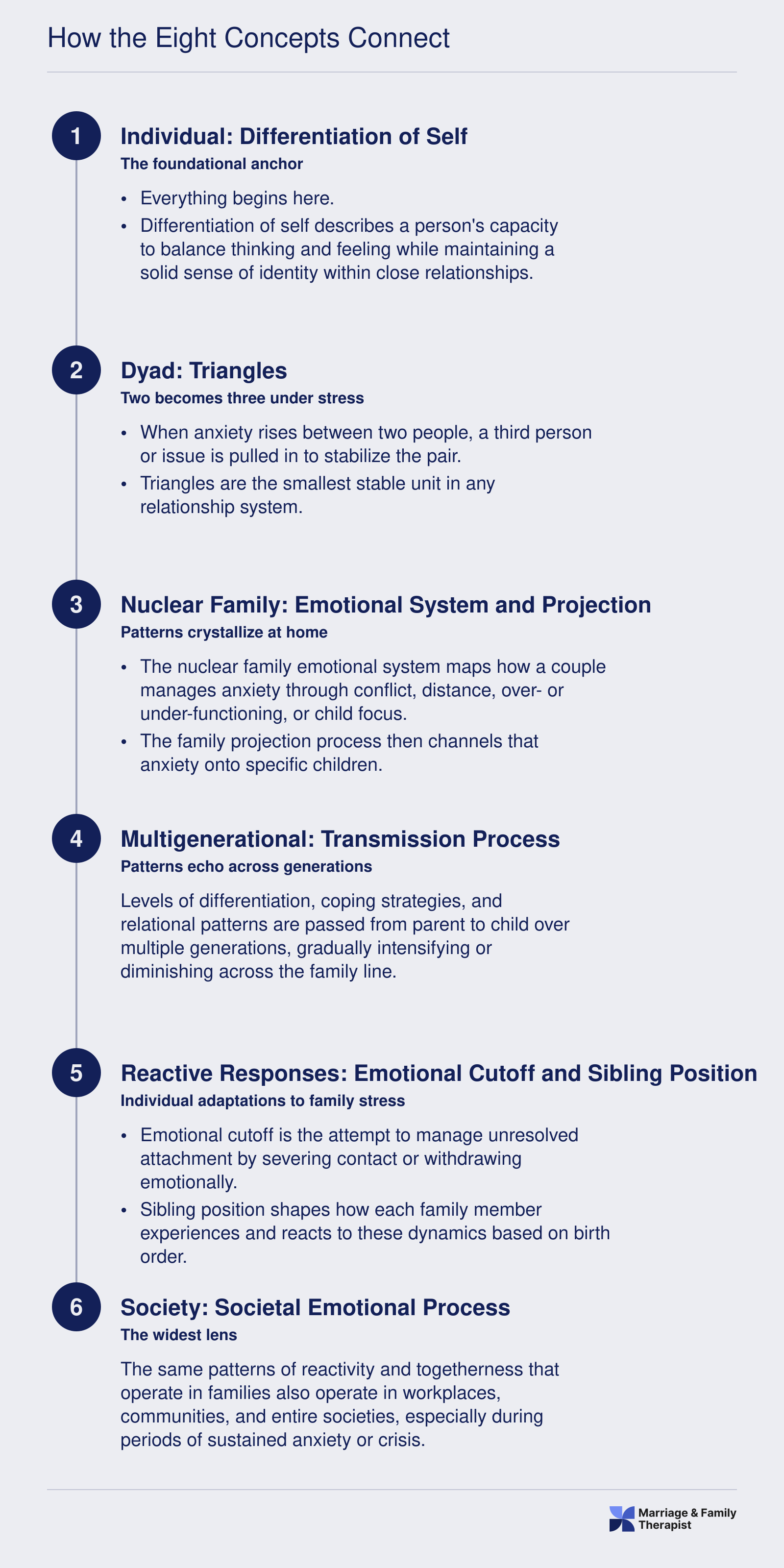 Six-step zoom-out sequence from differentiation of self through triangles, nuclear family, multigenerational patterns, reactive responses, and societal emotional process in Bowen theory