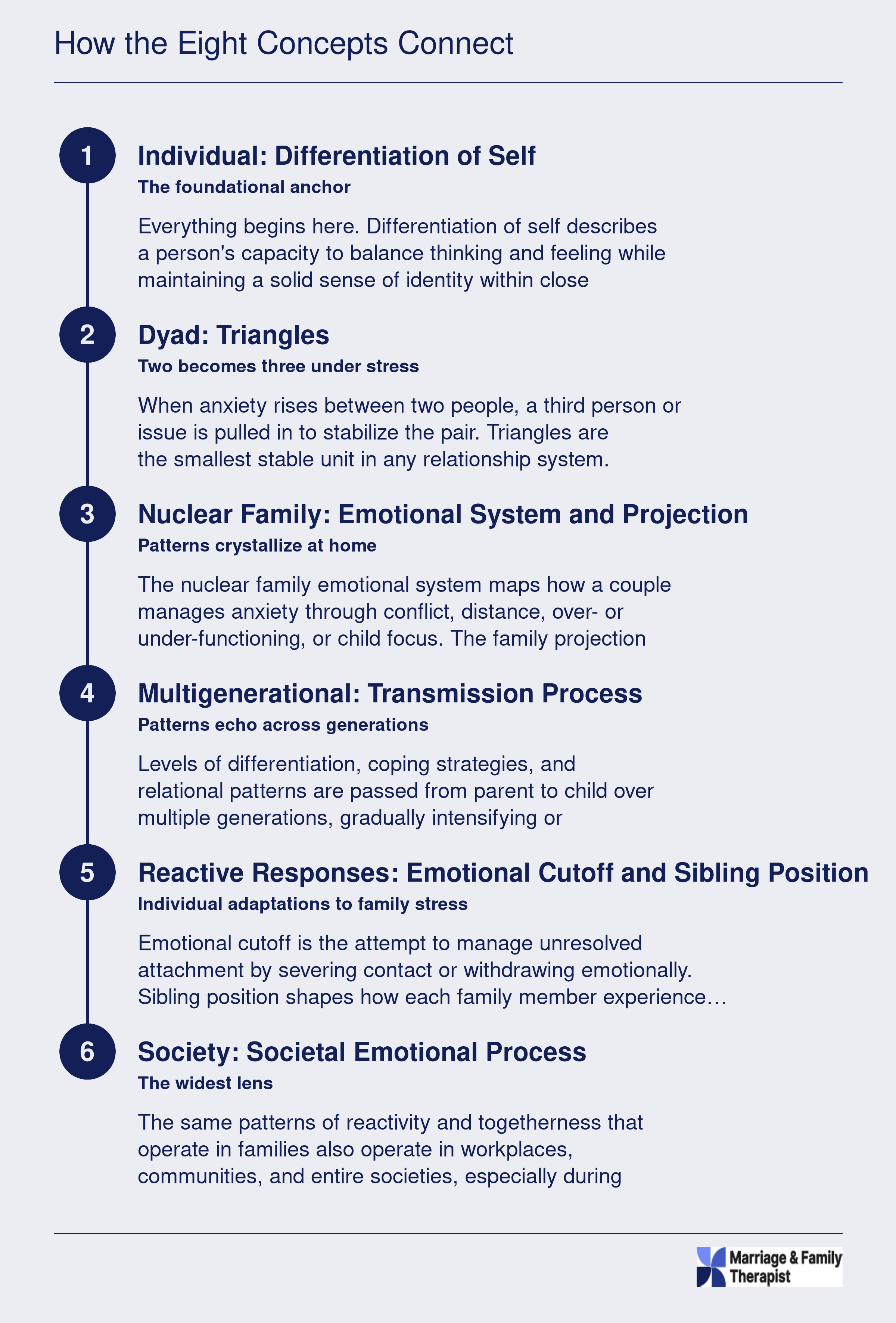 Six-step zoom-out sequence from differentiation of self through triangles, nuclear family, multigenerational patterns, reactive responses, and societal emotional process in Bowen theory